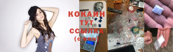 кокаин перу Дмитриев