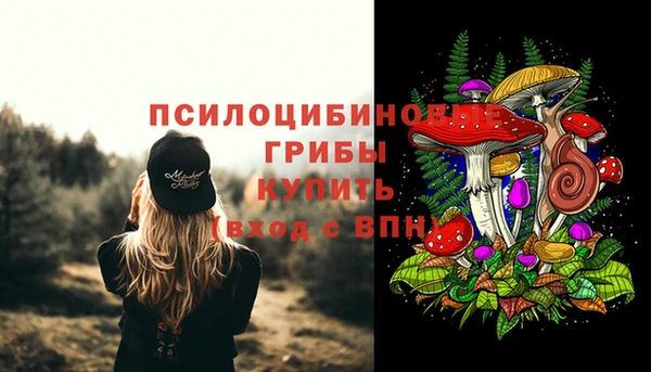 синтетический гашиш Дмитров