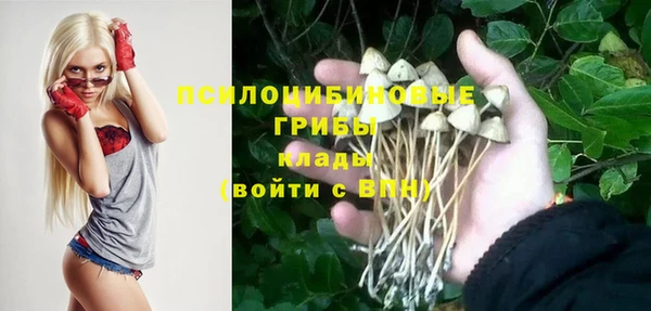 синтетический гашиш Дмитров