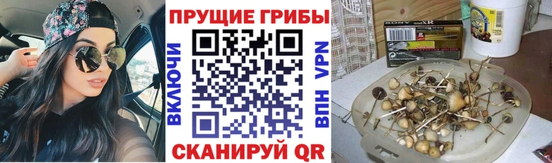 Псилоцибиновые грибы ЛСД купить Яранск